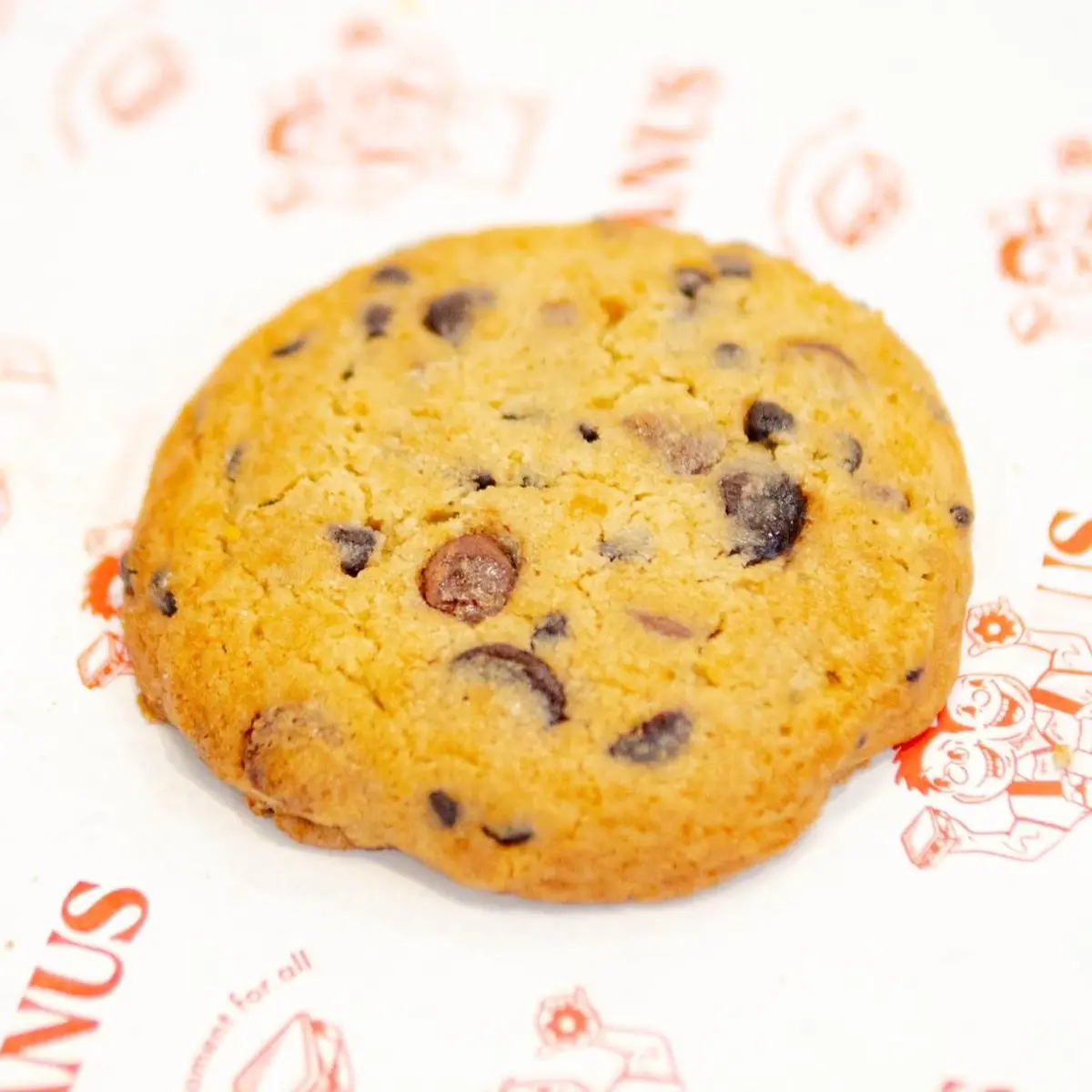 Double Chocolate Chip Cookie